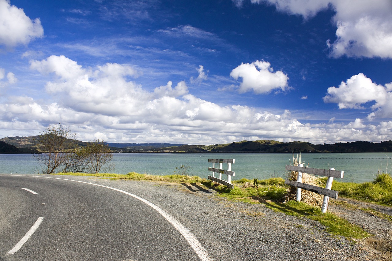 Interpreting Human Behavior: The Road Toward Better Safety Measures